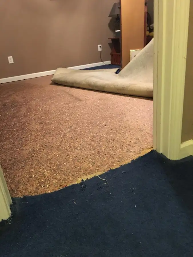Carpet pad removal revealing water damage during Water Mitigation Services in West Springfield
